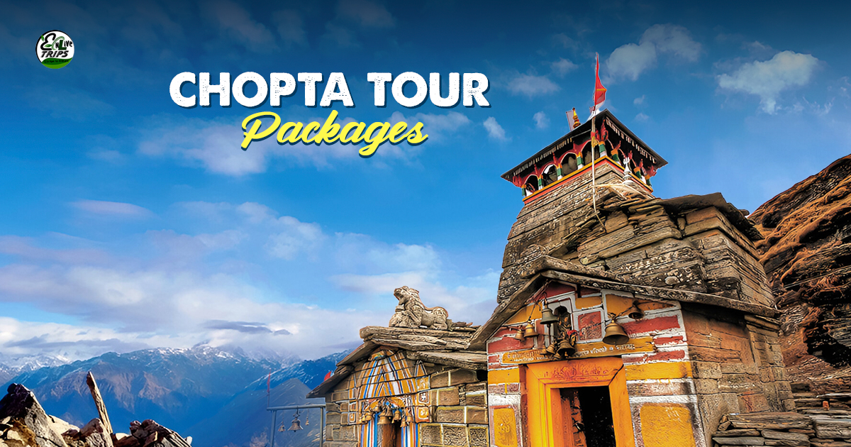Best Season to Visit Chopta & Trek Tungnath